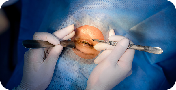 Patient Consultation